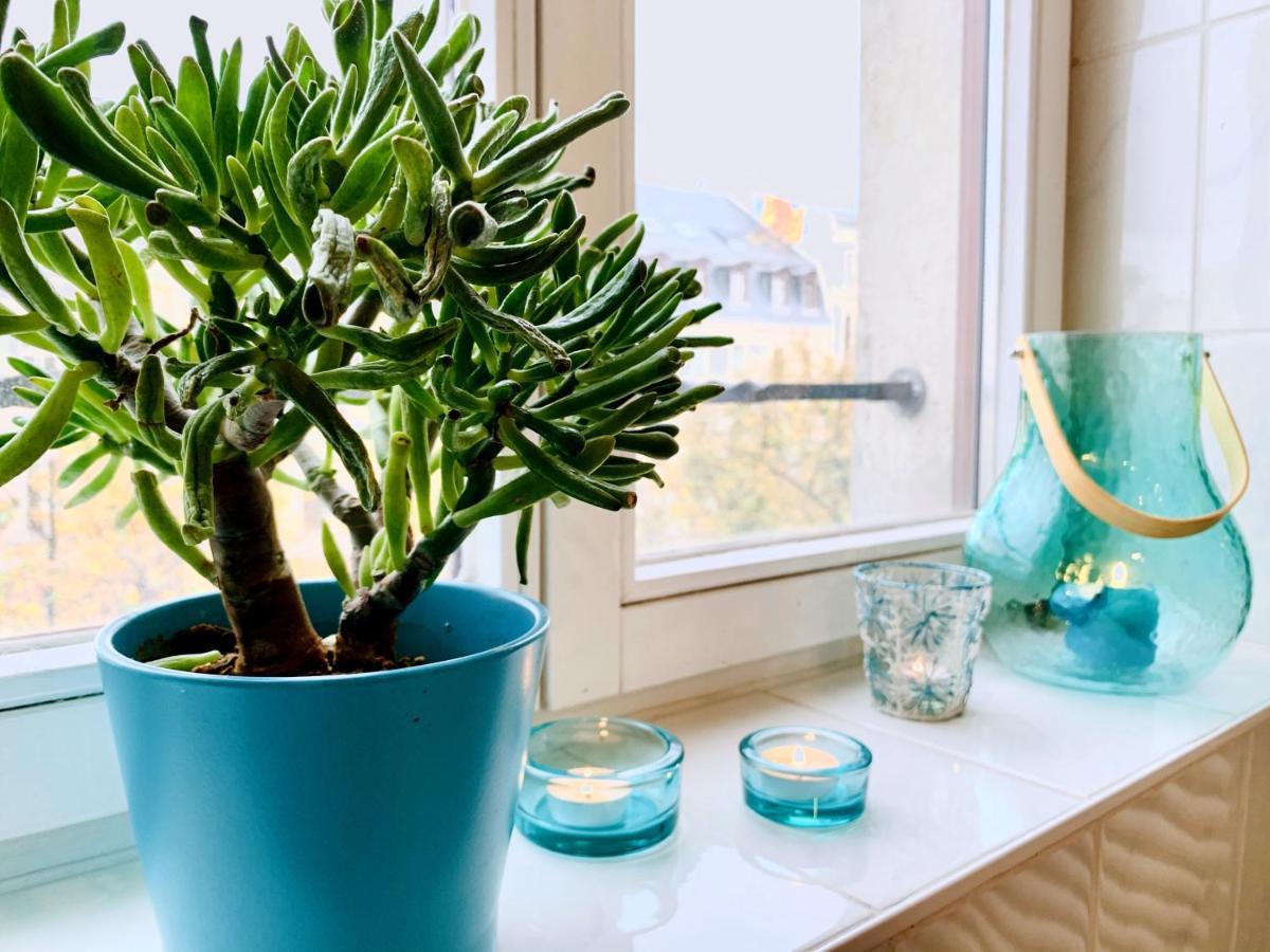 Apartment Heimatnest - - Karli